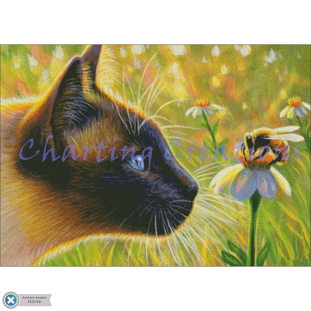 (image for) A Buzz In Sahara’s Garden